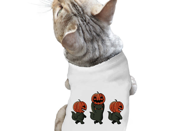 Halloween Pumpkin Kittens