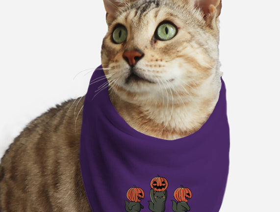 Halloween Pumpkin Kittens