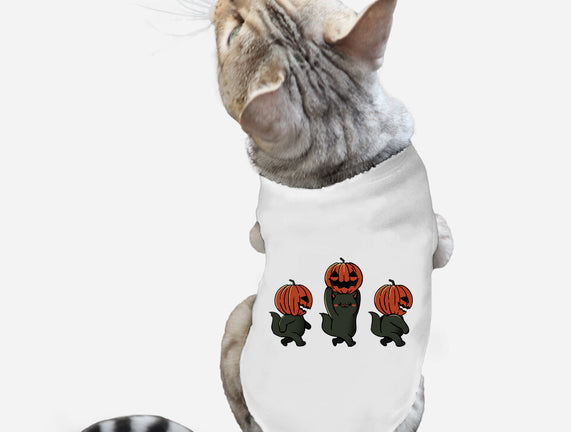 Halloween Pumpkin Kittens