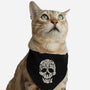 Cat Skeleton Skull-Cat-Adjustable-Pet Collar-tobefonseca