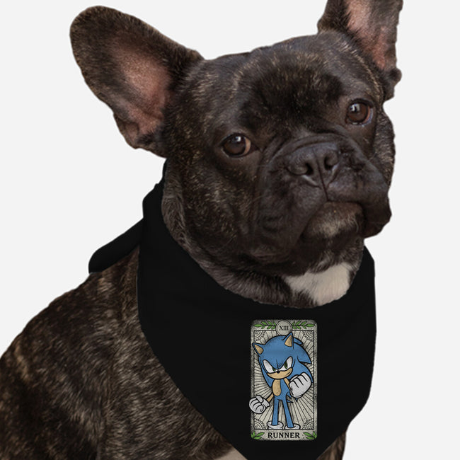 The Runner-Dog-Bandana-Pet Collar-turborat14