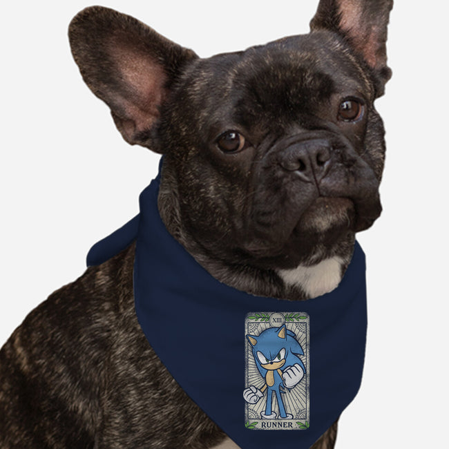 The Runner-Dog-Bandana-Pet Collar-turborat14