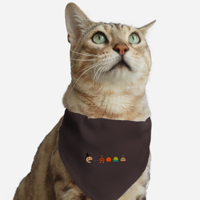 PACS-Giving Day-Cat-Adjustable-Pet Collar-krisren28