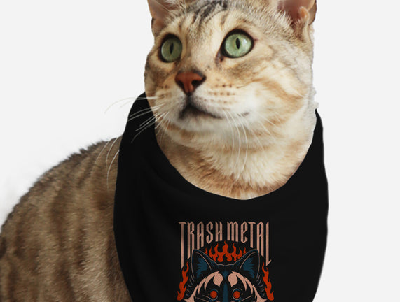 Trash Metal Raccoon