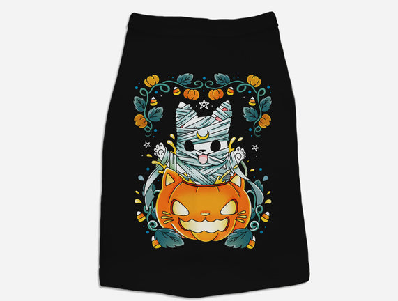 Mummy Pumpkin Cat