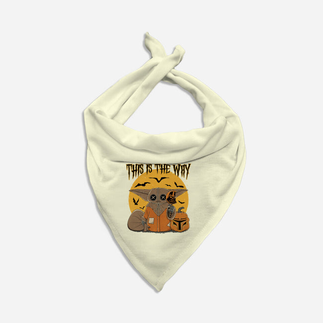 Treat Is The Way-Cat-Bandana-Pet Collar-retrodivision