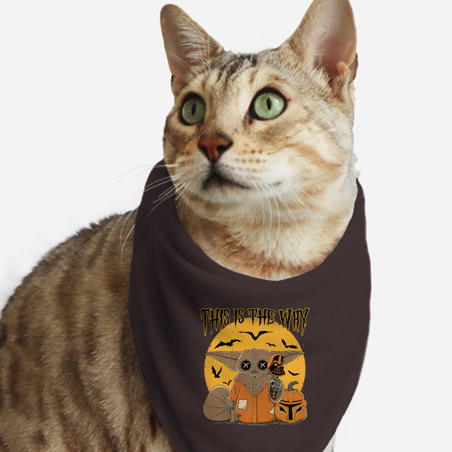 Treat Is The Way-Cat-Bandana-Pet Collar-retrodivision