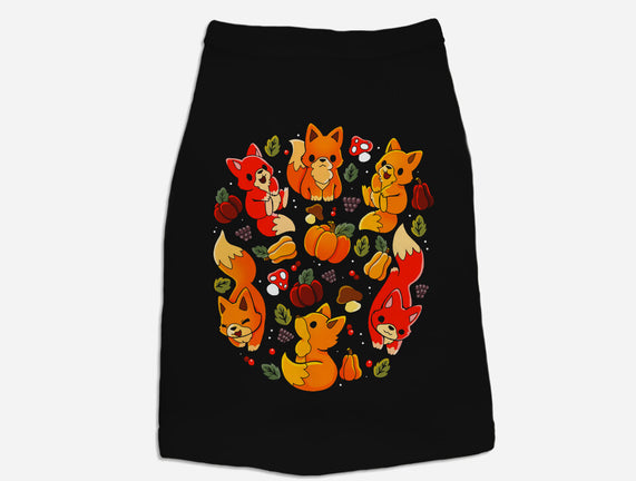 Foxes Autumn