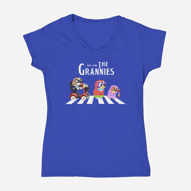 Grannies Crossing-Womens-V-Neck-Tee-Alexhefe