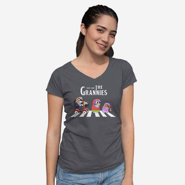 Grannies Crossing-Womens-V-Neck-Tee-Alexhefe