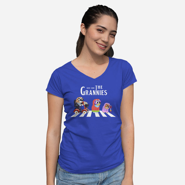 Grannies Crossing-Womens-V-Neck-Tee-Alexhefe