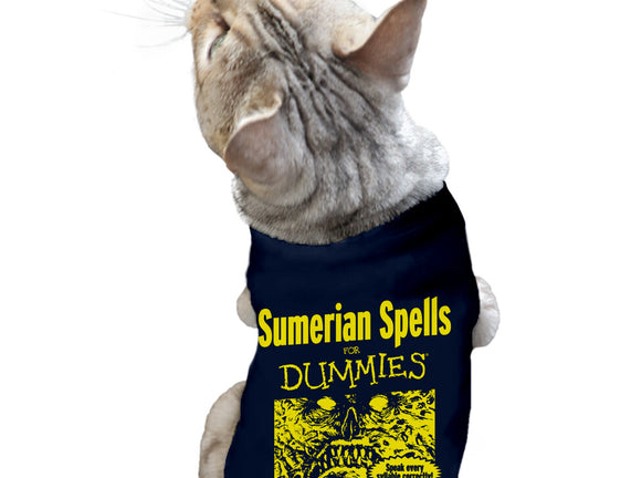 Sumerian Spells For Dummies