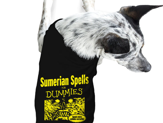 Sumerian Spells For Dummies