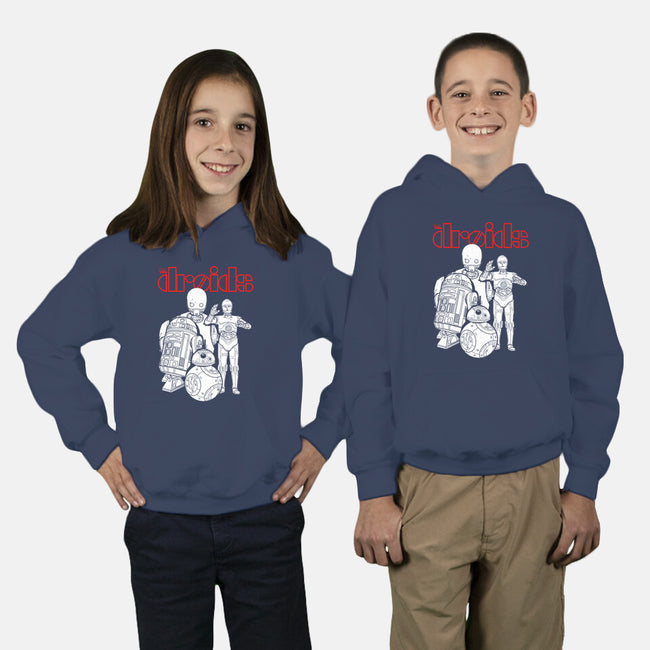 The Droids-Youth-Pullover-Sweatshirt-Boggs Nicolas