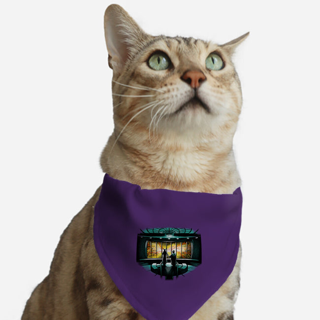 Temporal Mayhem-Cat-Adjustable-Pet Collar-zascanauta