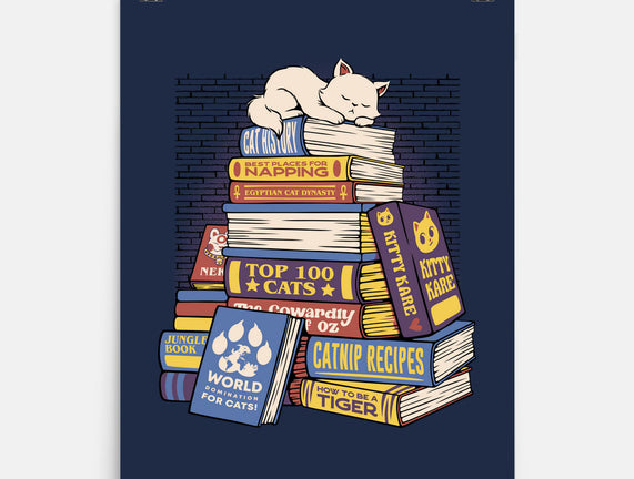 Cat Books Feline Library