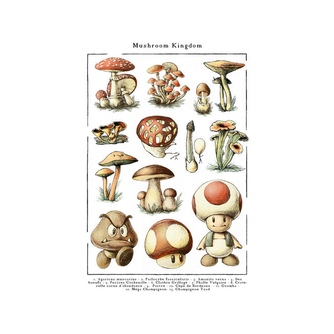 The Mushroom Kingdom-None-Polyester-Shower Curtain-BlancaVidal