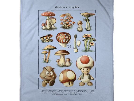 The Mushroom Kingdom