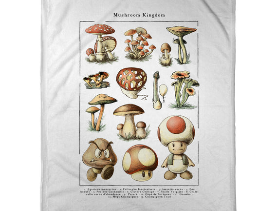 The Mushroom Kingdom