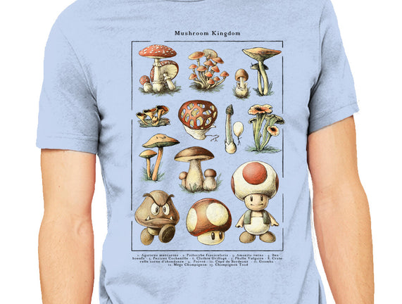 The Mushroom Kingdom