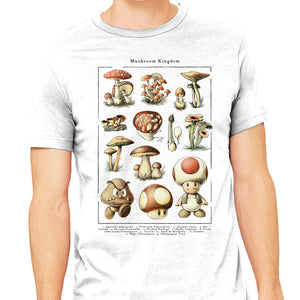 The Mushroom Kingdom