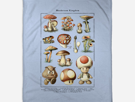 The Mushroom Kingdom