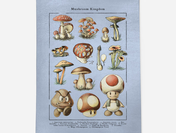 The Mushroom Kingdom