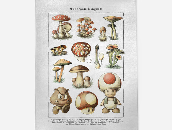 The Mushroom Kingdom