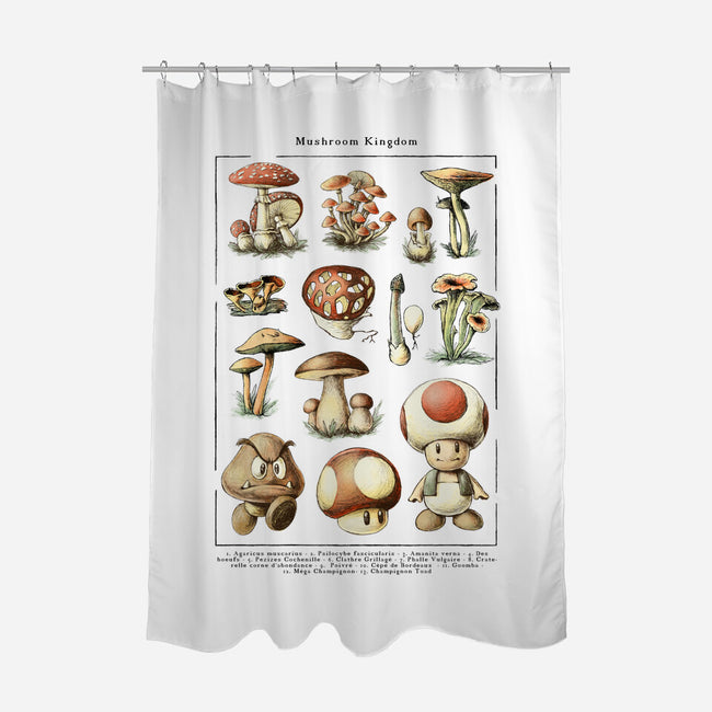 The Mushroom Kingdom-None-Polyester-Shower Curtain-BlancaVidal