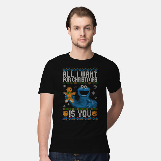 All I Want For Christmas Is You-Mens-Premium-Tee-NMdesign