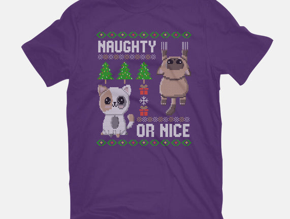 Naughty Or Nice Kittens