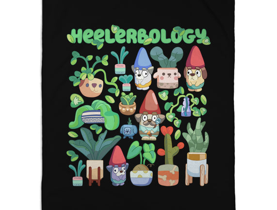 Heelerbology