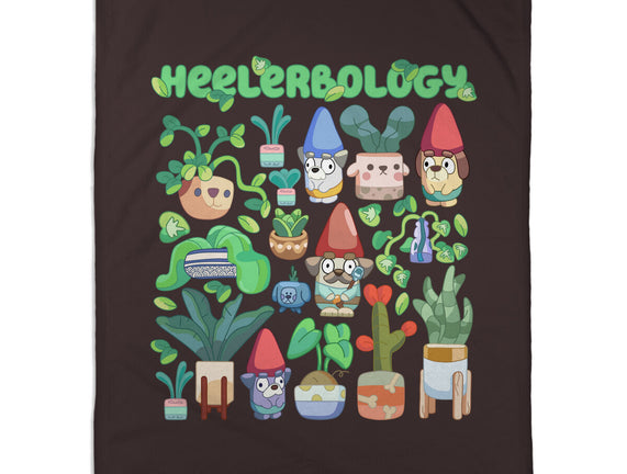 Heelerbology