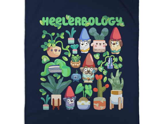 Heelerbology