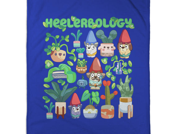 Heelerbology