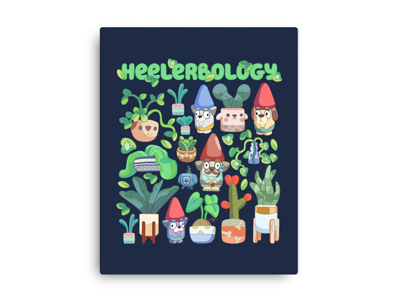 Heelerbology