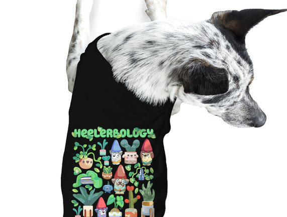 Heelerbology