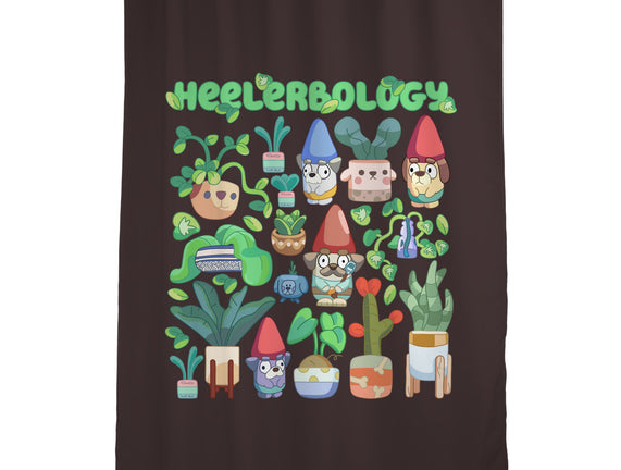 Heelerbology