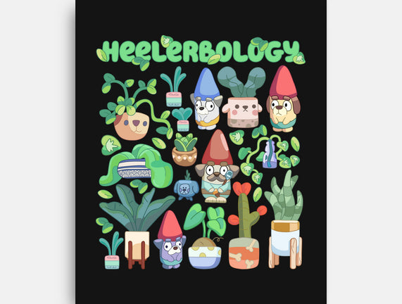 Heelerbology