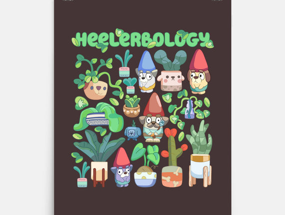 Heelerbology