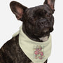 The Year Of The Dragon-Dog-Bandana-Pet Collar-xMorfina