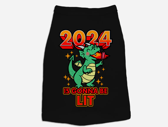 2024 Is Gonna Be Lit