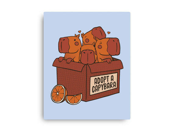 Adopt A Capybara