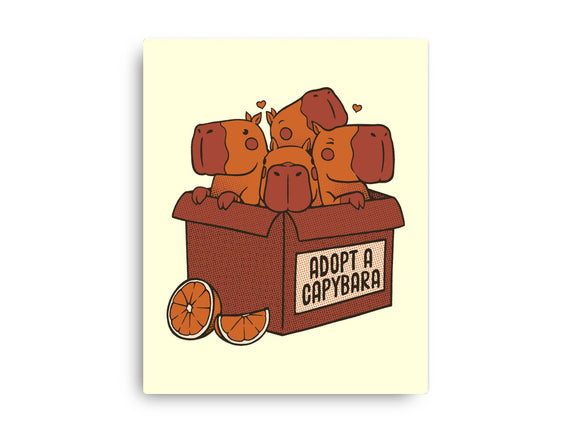 Adopt A Capybara