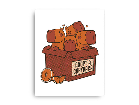 Adopt A Capybara