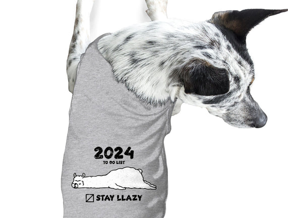 Stay Llazy