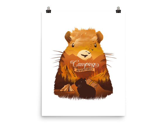 Campybara