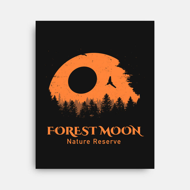 Forest Moon Nature Reserve-None-Stretched-Canvas-drbutler