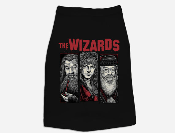 The Wizards