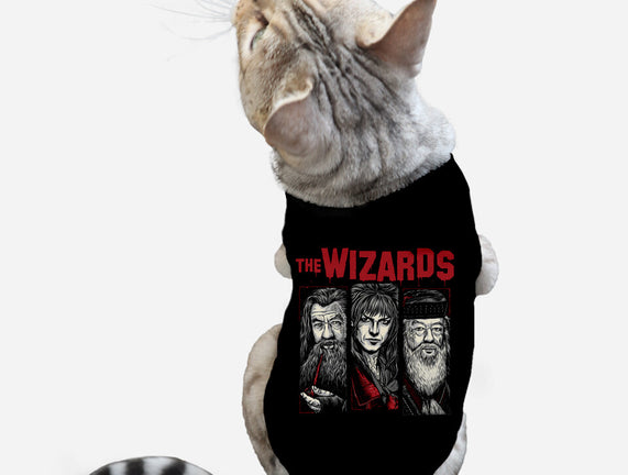 The Wizards